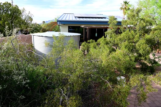 a 5,000-gallon metal rainwater collection tank next to a building with solar panels on the roof