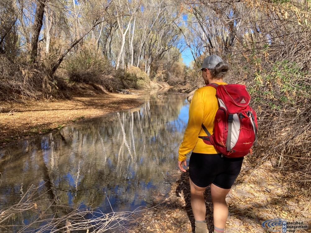 A person in a yellow shirt and black shorts looks at a creek in a wooded area