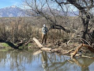 a volunteer surveying beaver next to a lake