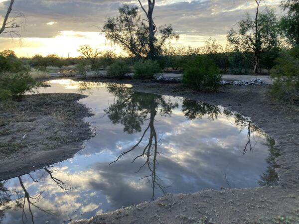A large pool of water with clouds and sunset reflected in them