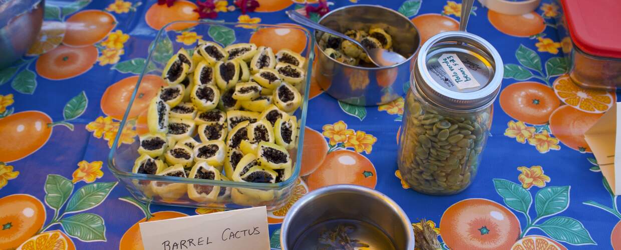 table with barrel cactus fruit and palo verde beans