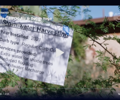 Creenshot of PBS video "Green Homes"