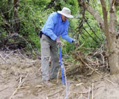 WMG staff member digging out arundo root ball