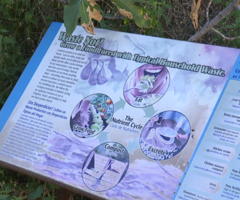 Sign dispalying message and images about "food forest" at WMG's Living Lab