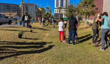 Bioscience High school, Phoenix, high school students planting 