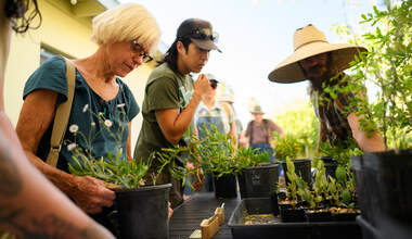 Native Plant Kits Distribution