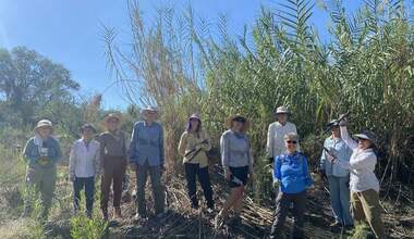 A group of people stand in a stream bed