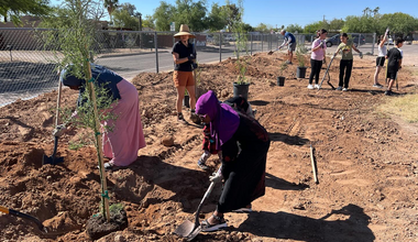 A group of children with shovels plant a tree
